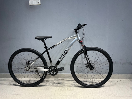 Godspeed 24T Grey Single speed