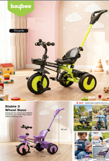 Tricycle with Parental care